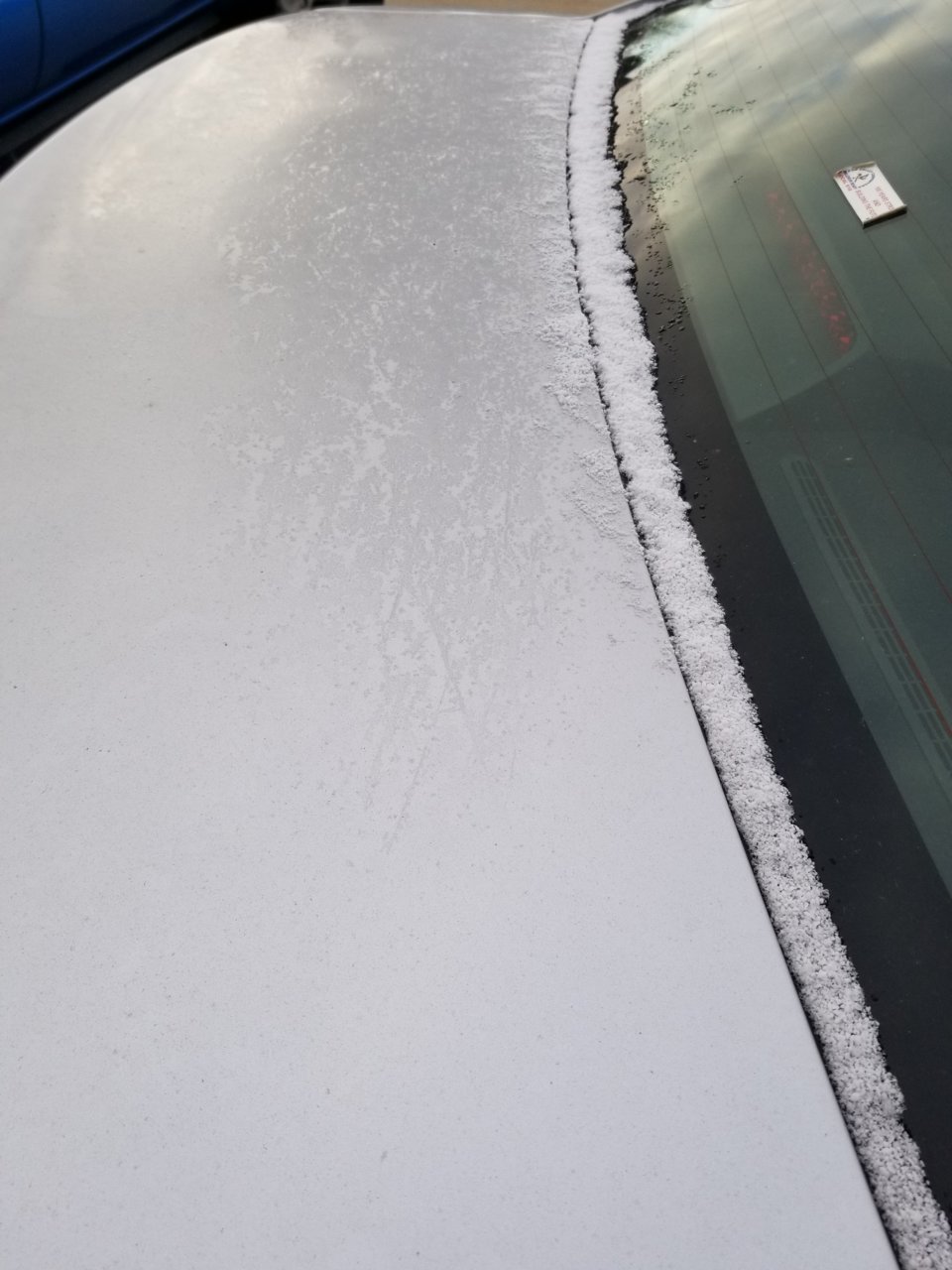 20221113_074125.jpg