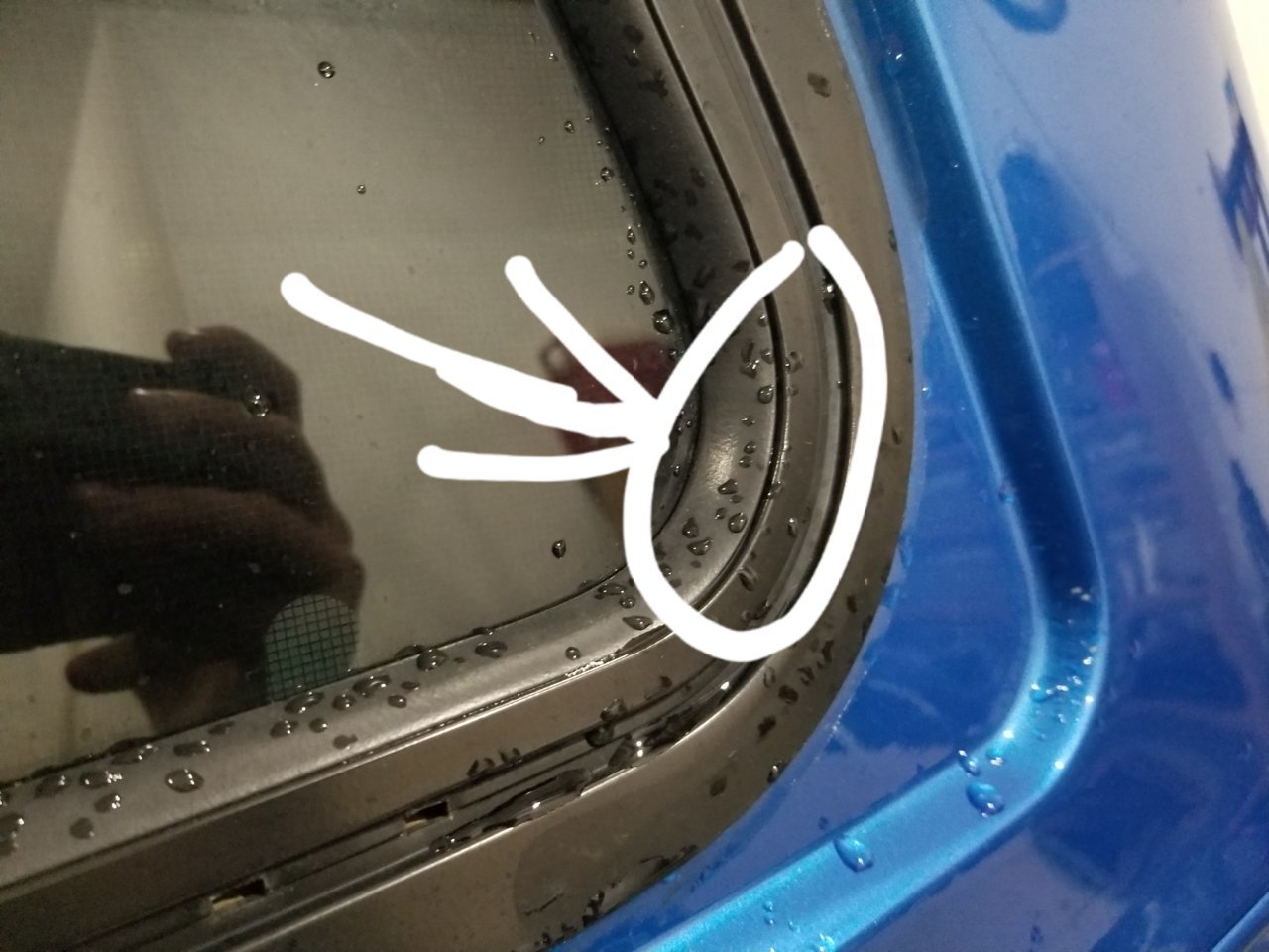 20221116_191835.jpg