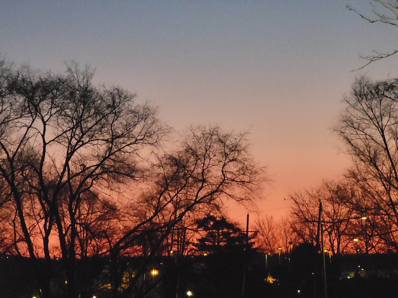 20221118_063652.jpg