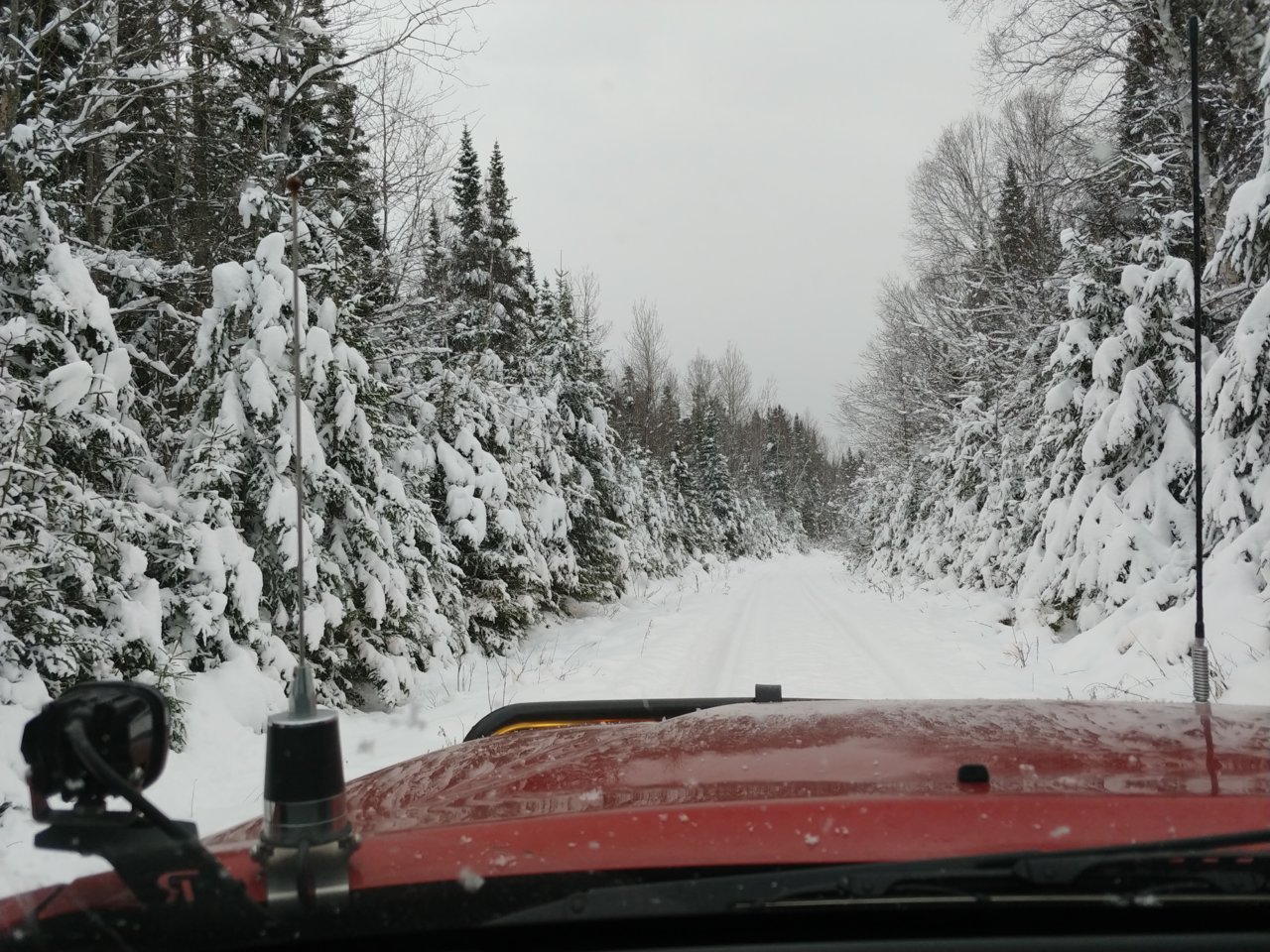 20221119_153640.jpg