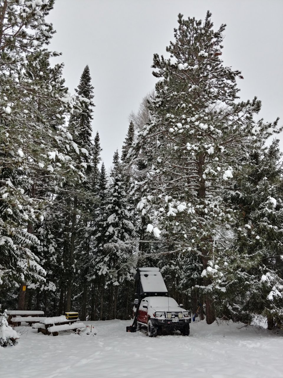 20221120_082413_HDR.jpg