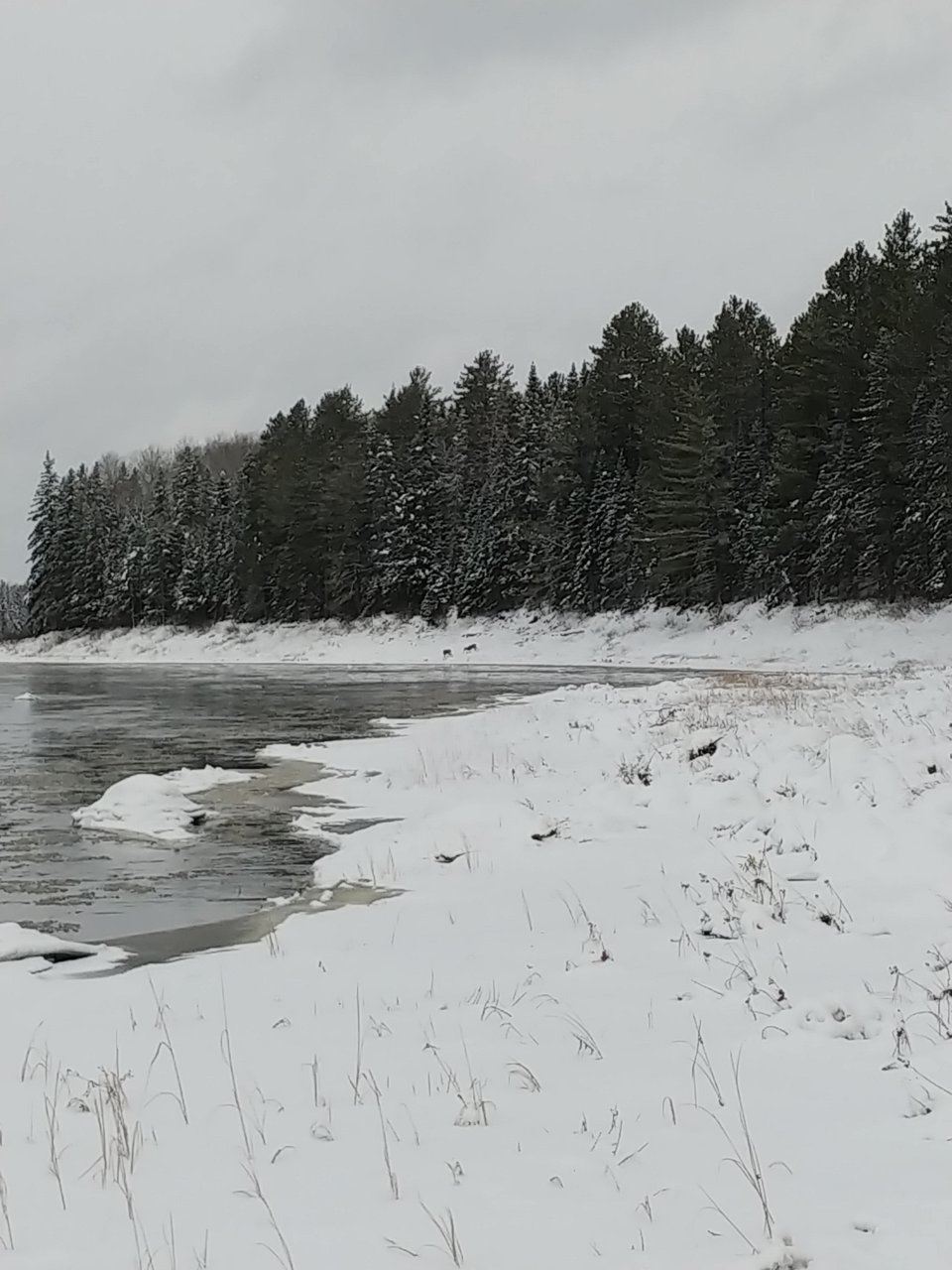 20221120_101348.jpg
