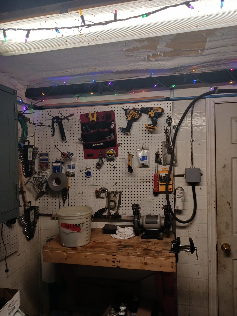20221122_070931.jpg