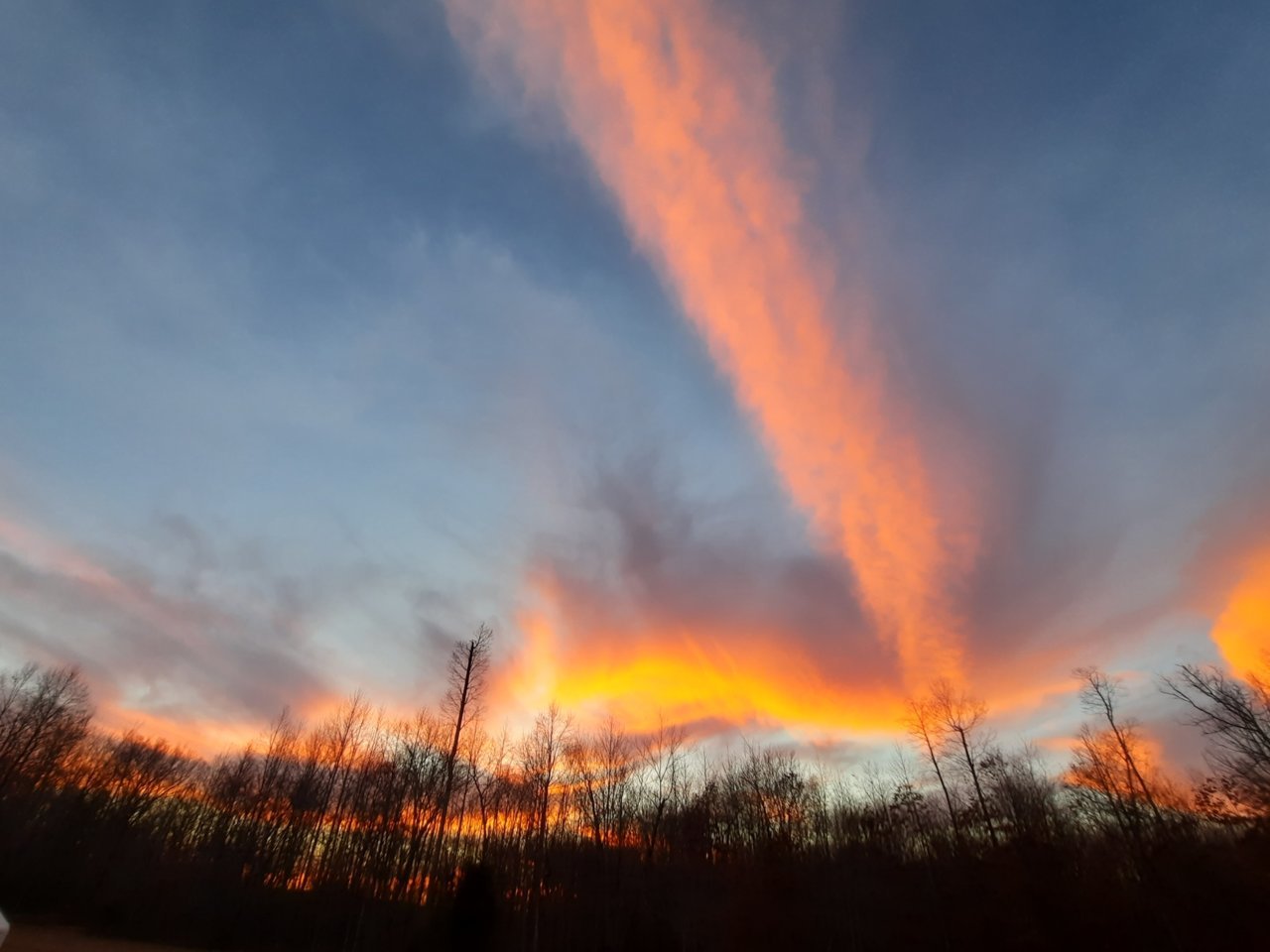 20221123_173121.jpg