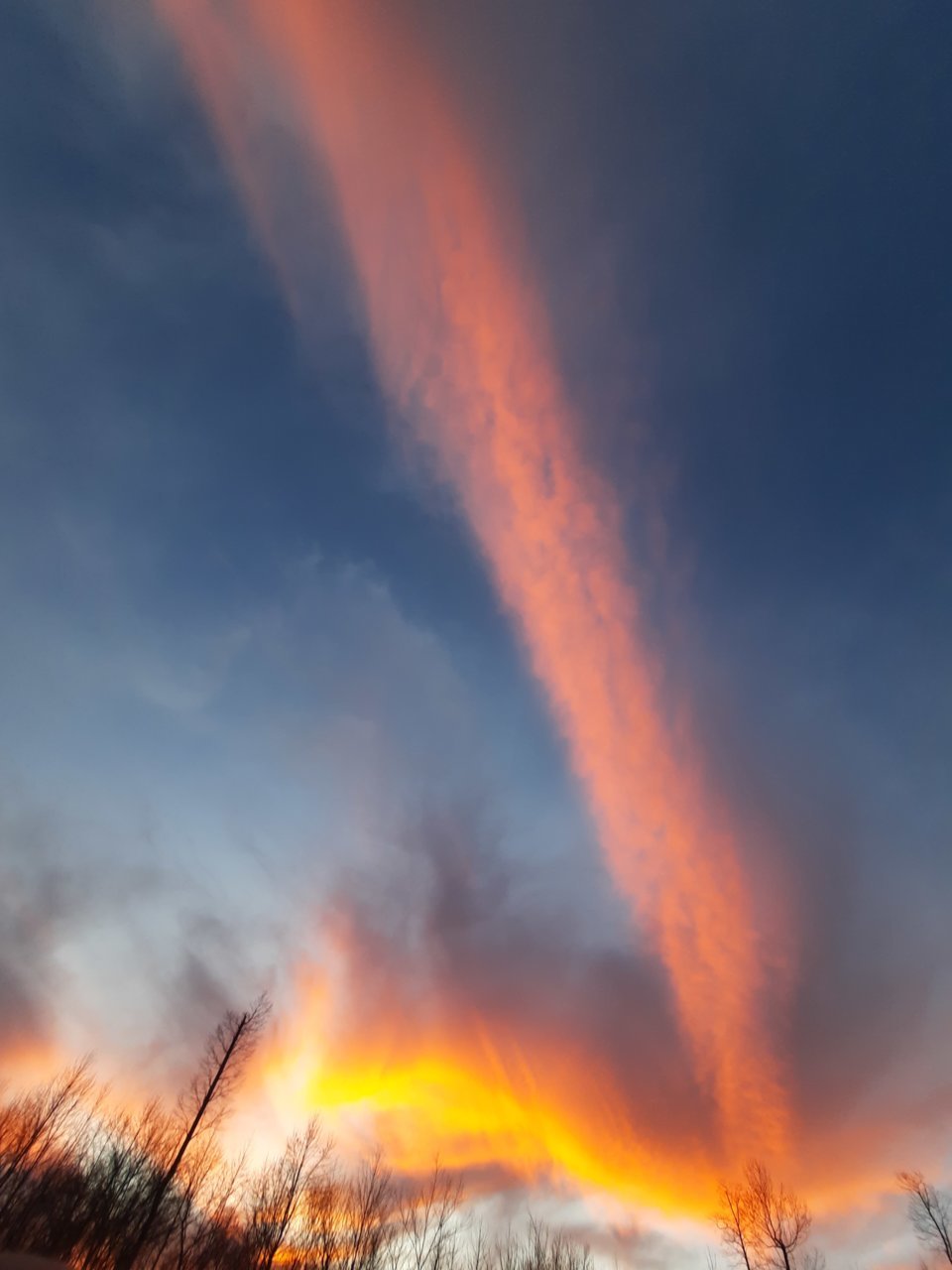 20221123_173157.jpg