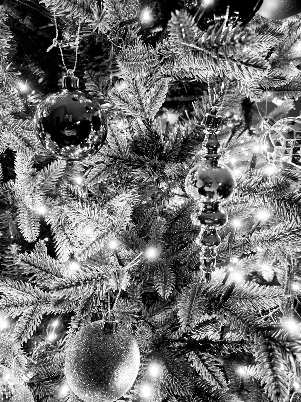 20221124_063434.jpg