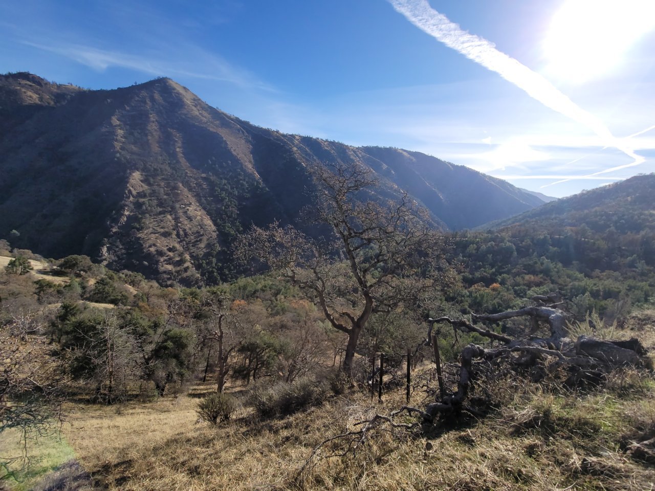 20221130_095241.jpg