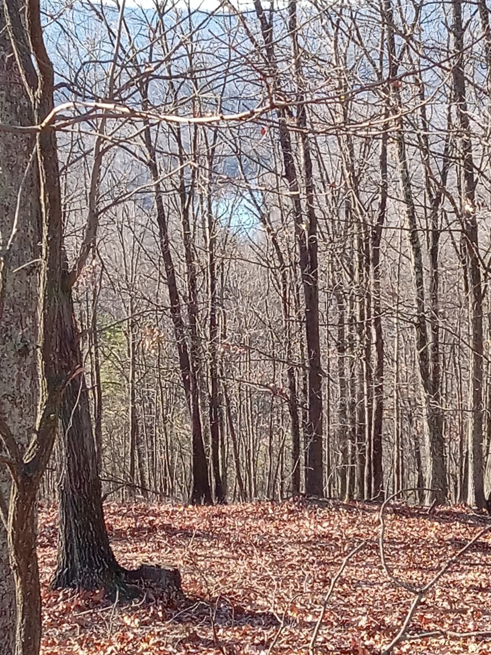 20221201_144901.jpg