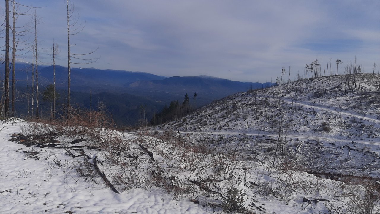 20221202_131416.jpg