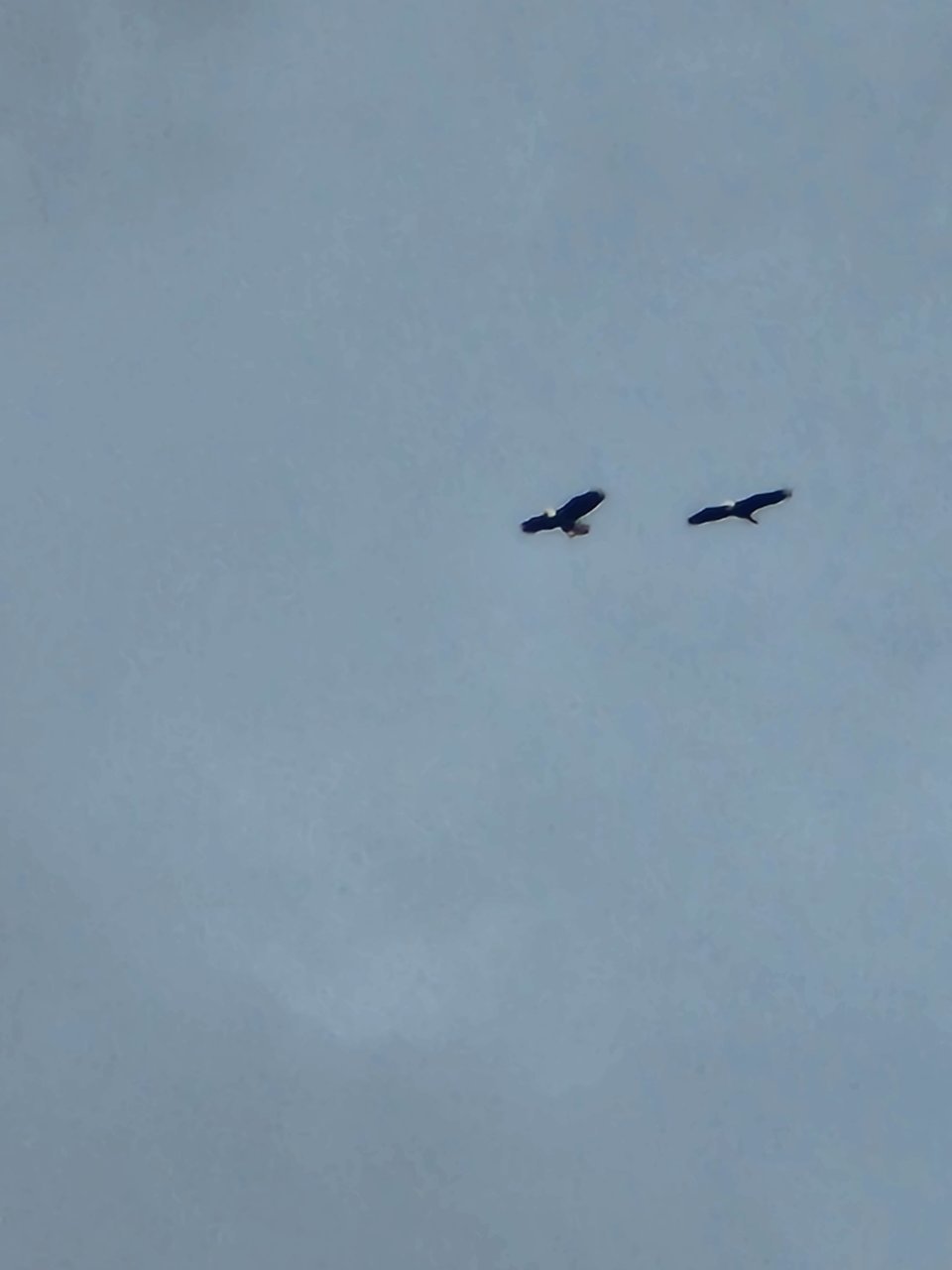 20221203_141956.jpg
