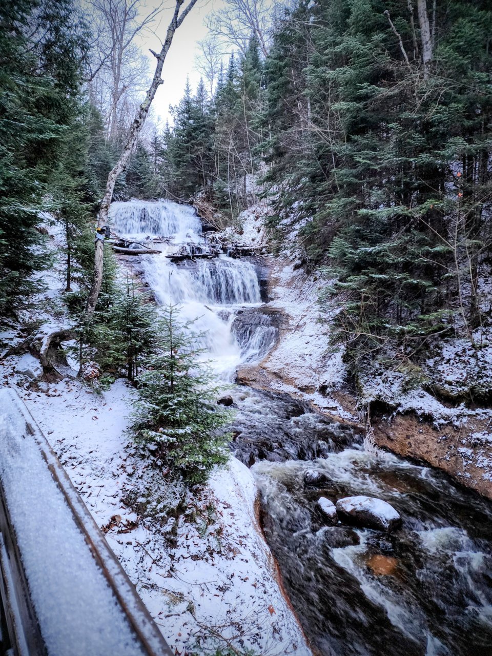20221203_170336~2.jpg