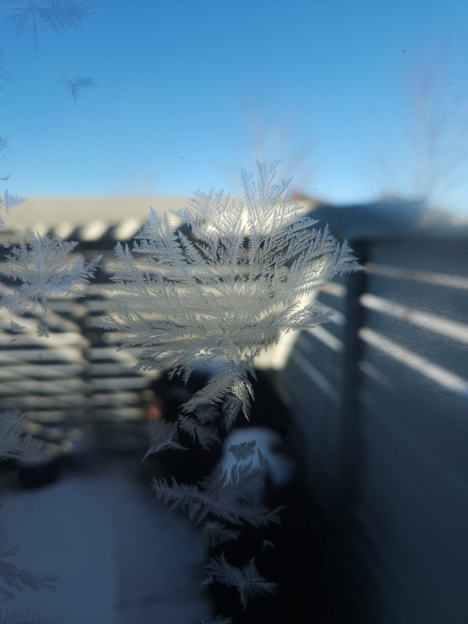 20221204_103432.jpg