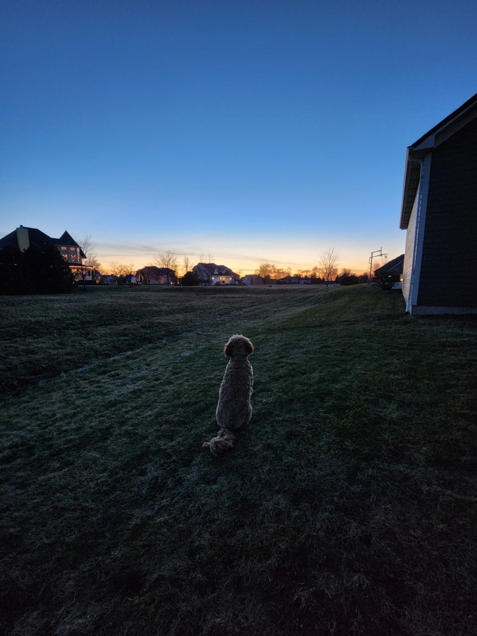 20221204_164450.jpg