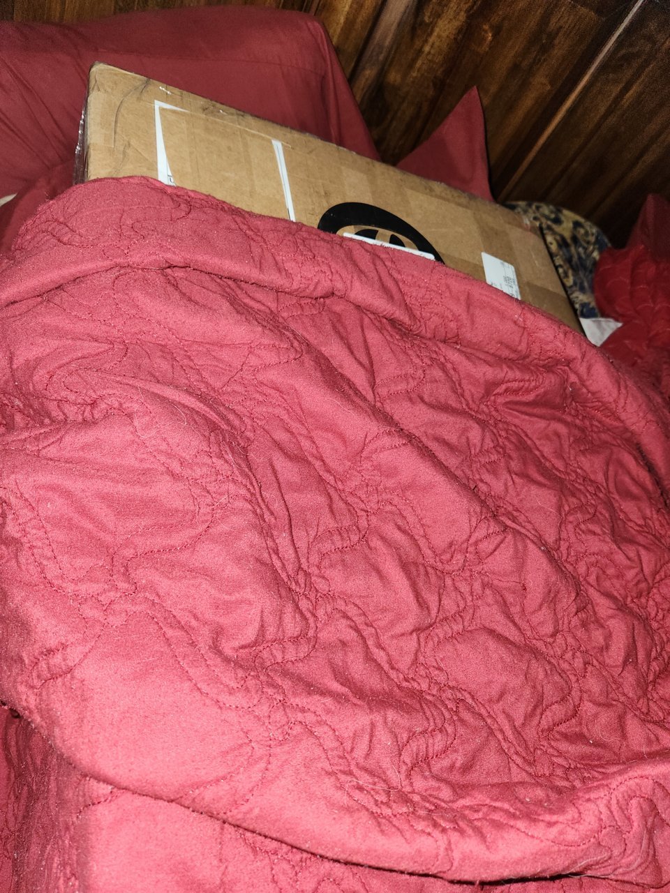 20221208_152658.jpg