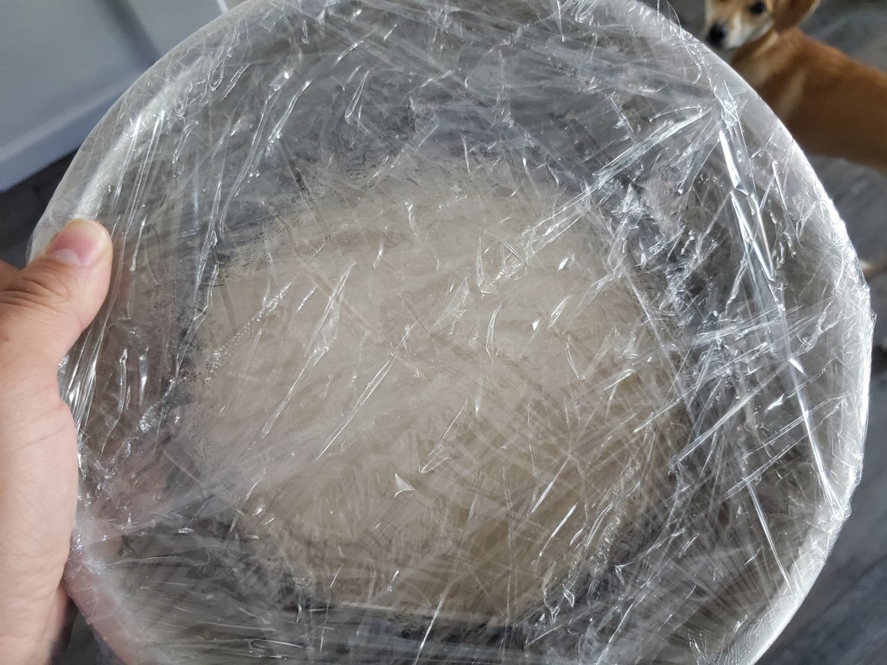20221216_095809.jpg