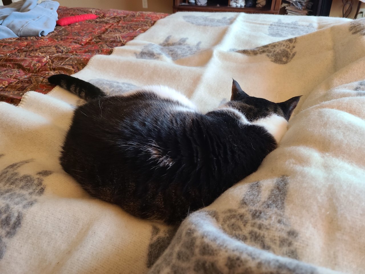 20221218_092618.jpg