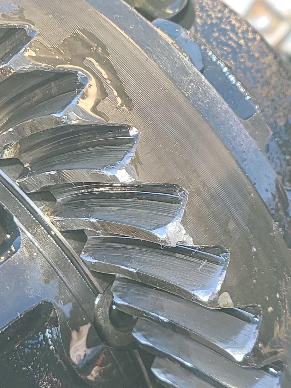 20221218_163026.jpg