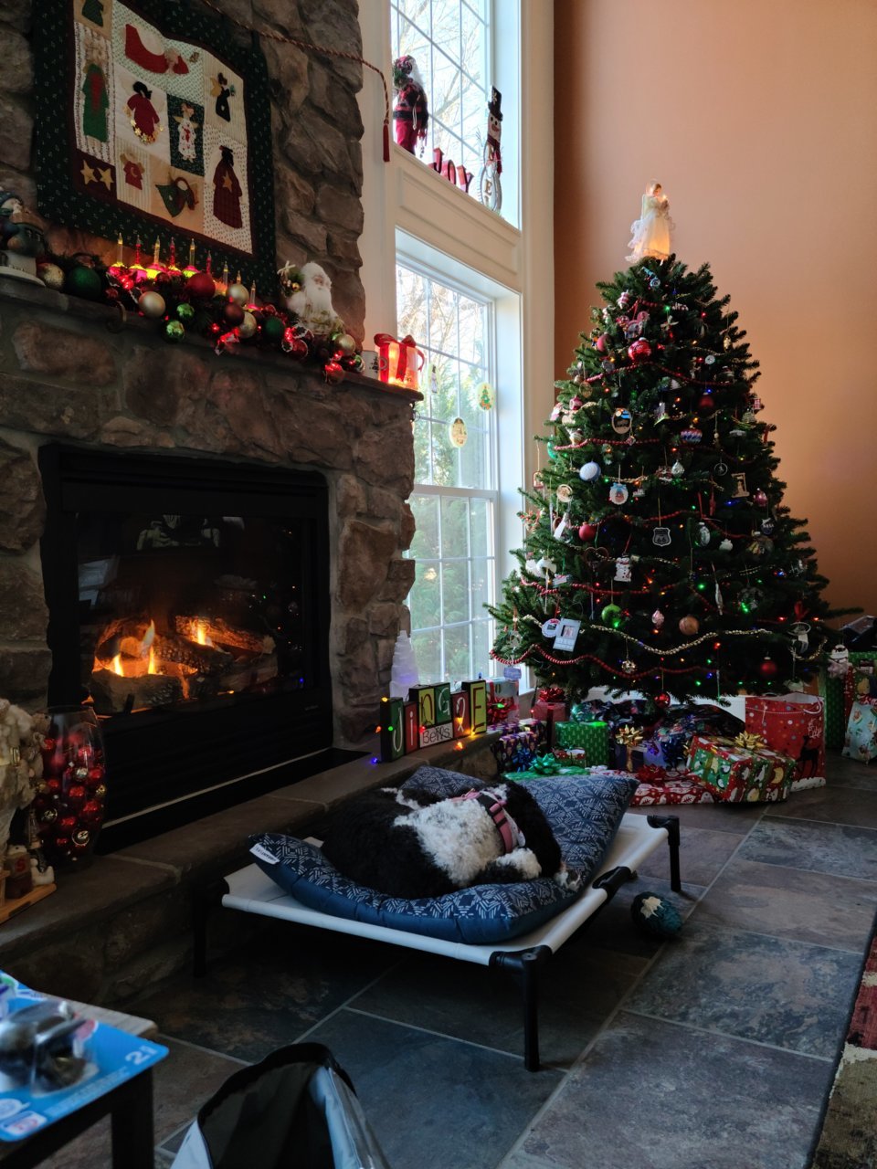 20221225_101041.jpg