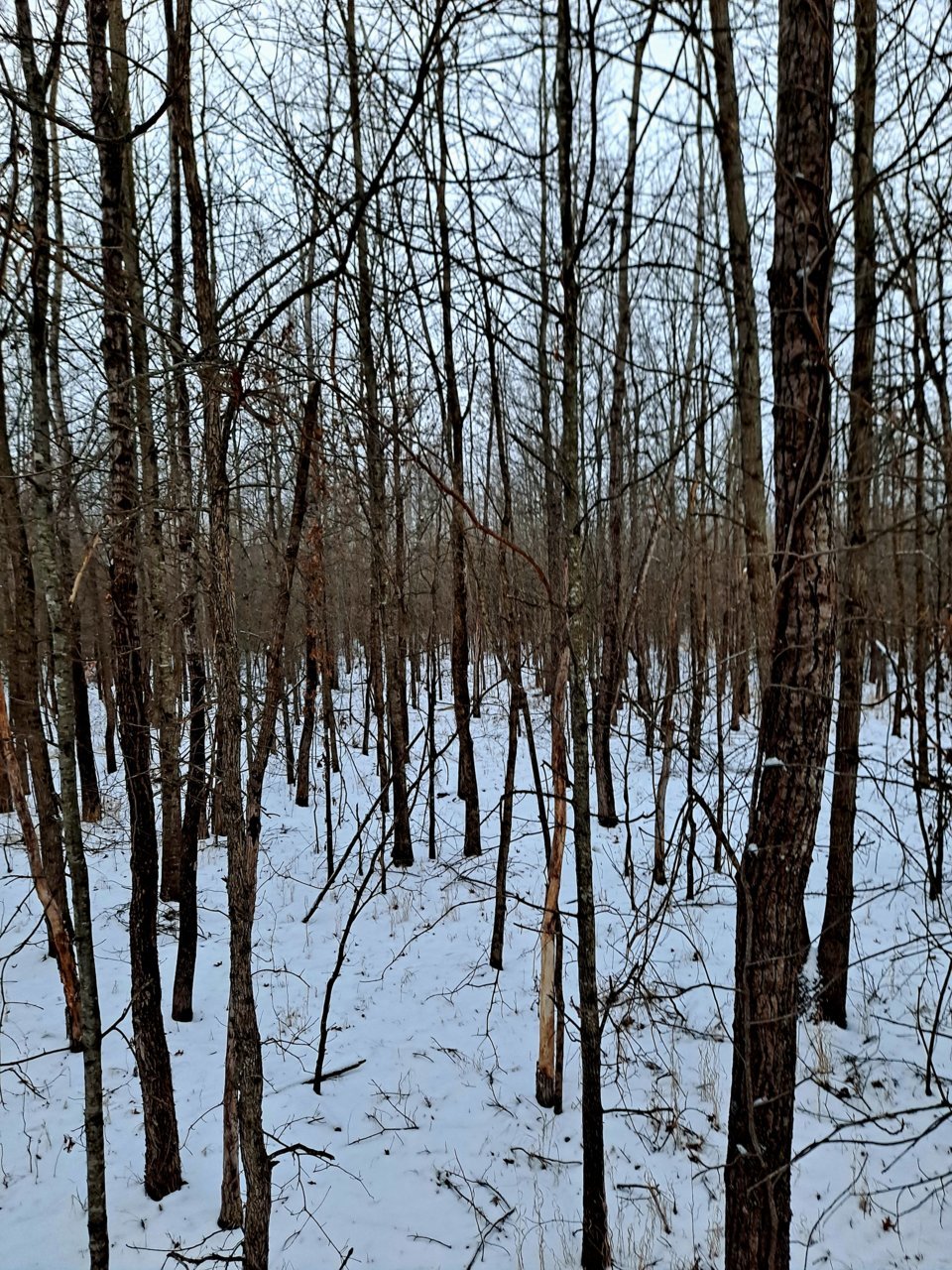 20221227_070923.jpg
