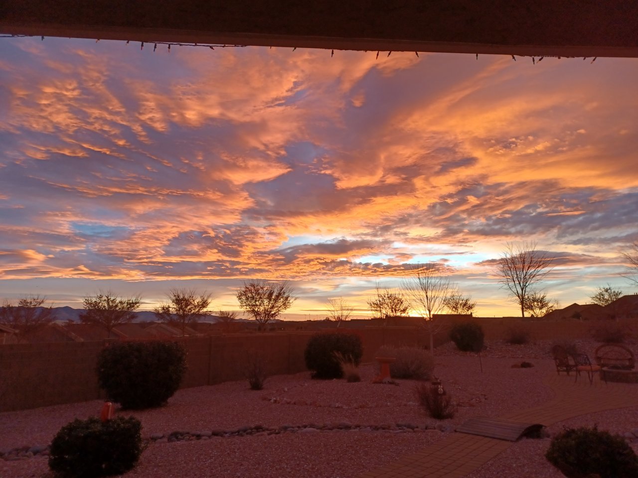 20221227_073100.jpg