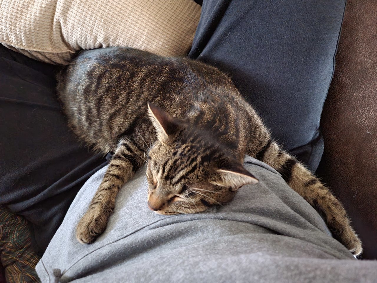 20221231_161920.jpg