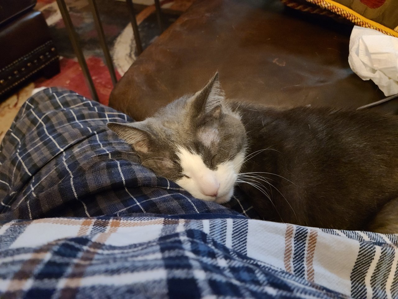 20221231_232116.jpg