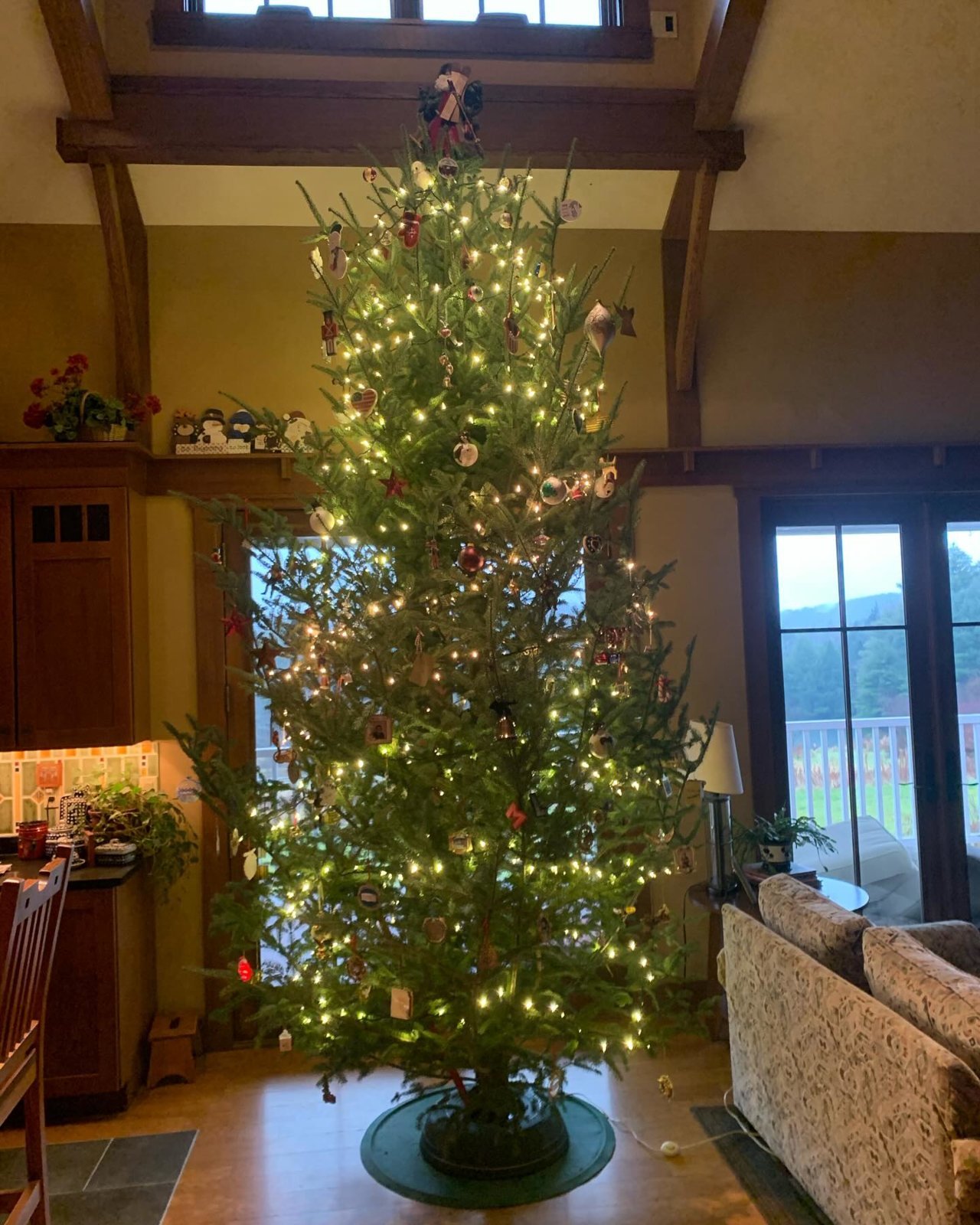 2023 Christmas Tree..jpg