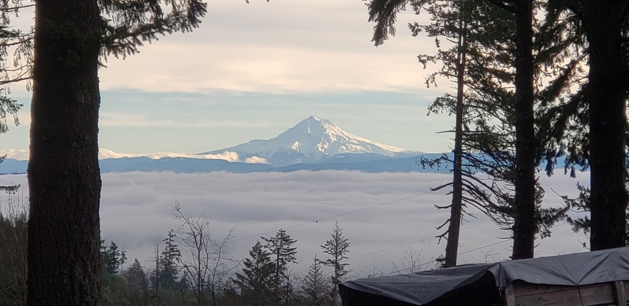 20230102_095201.jpg
