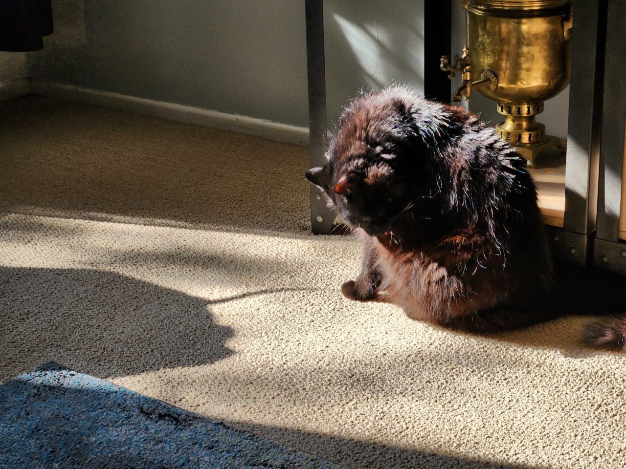 20230108_110148.jpg