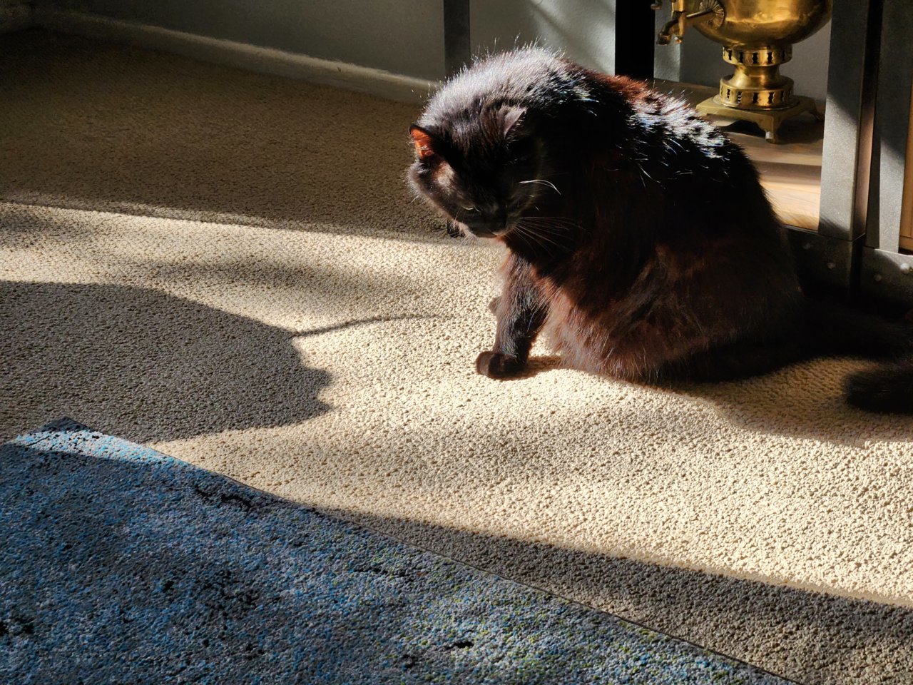 20230108_110205.jpg