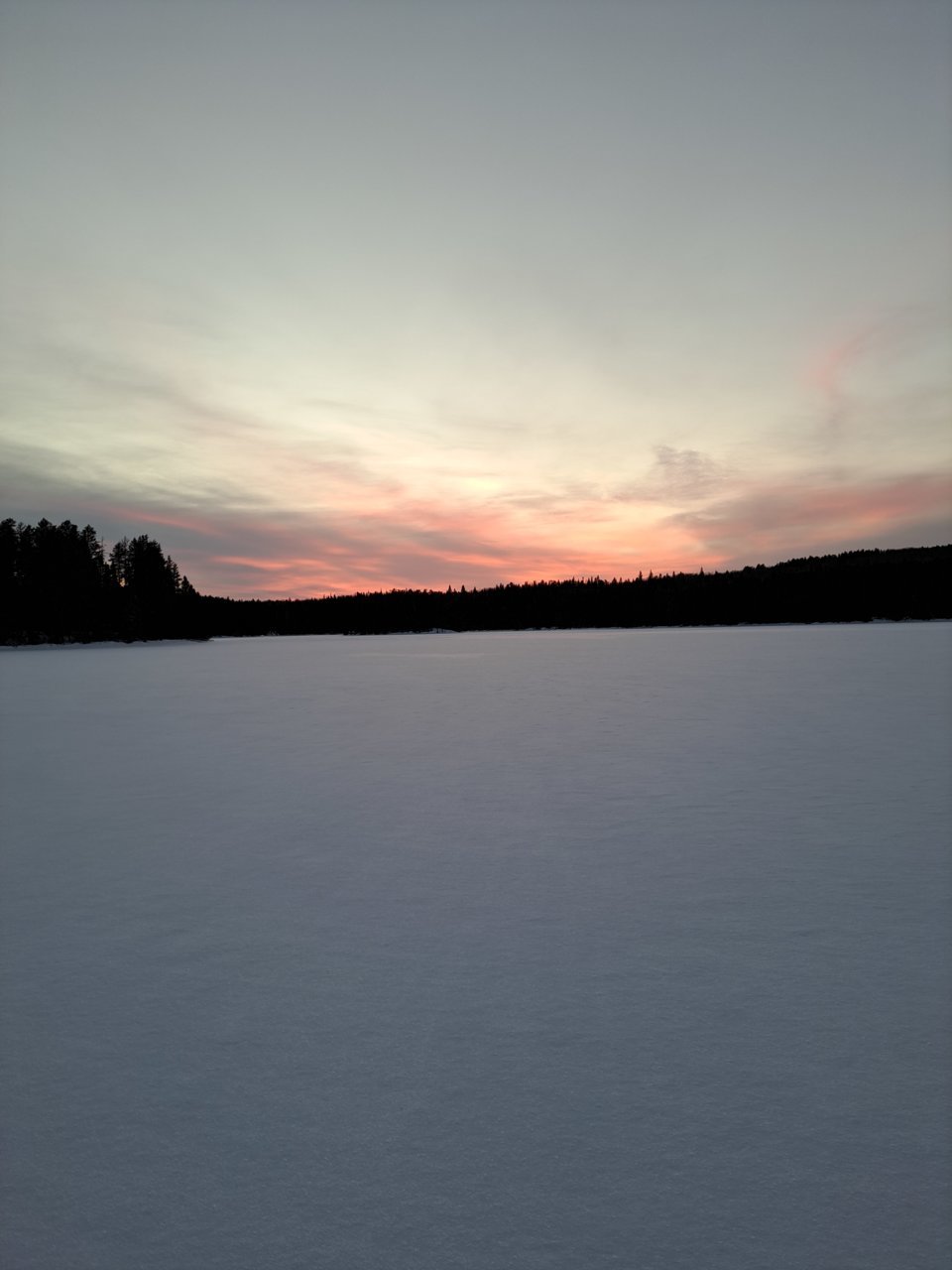 20230108_165329.jpg