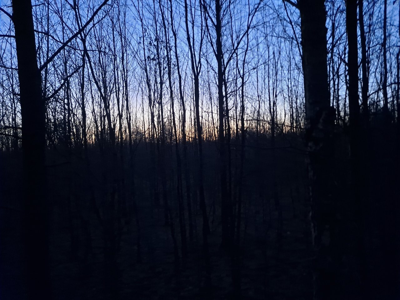 20230109_064424.jpg