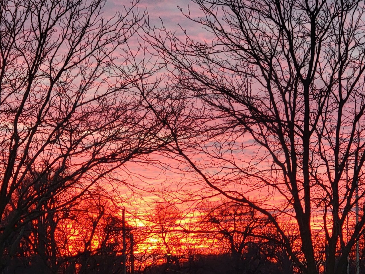 20230110_172555.jpg