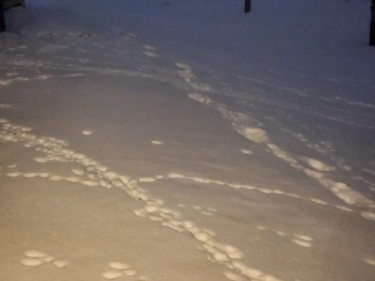 20230112_073023.jpg