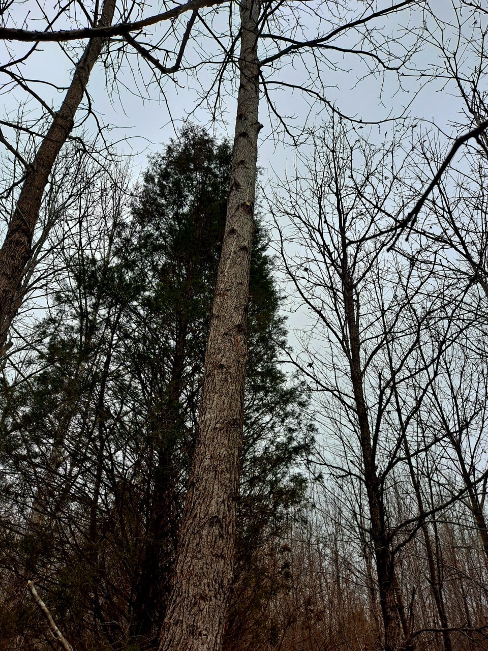 20230113_134511.jpg