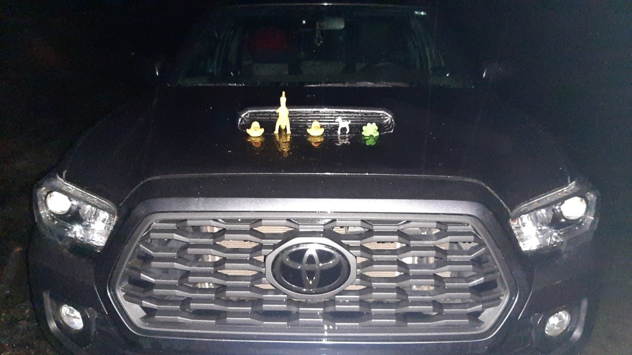 20230113_214805.jpg