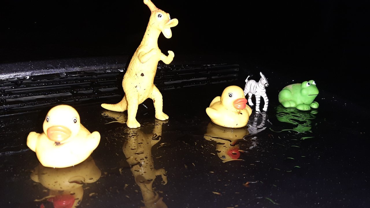 20230113_214859.jpg