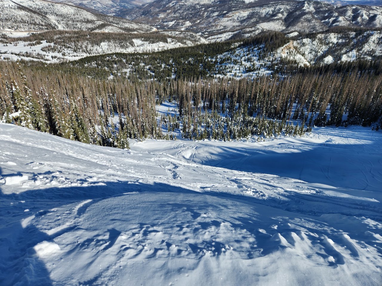 20230114_103344.jpg