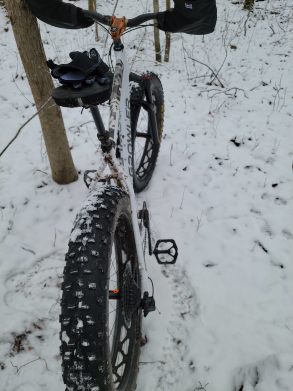 20230115_104037.jpg