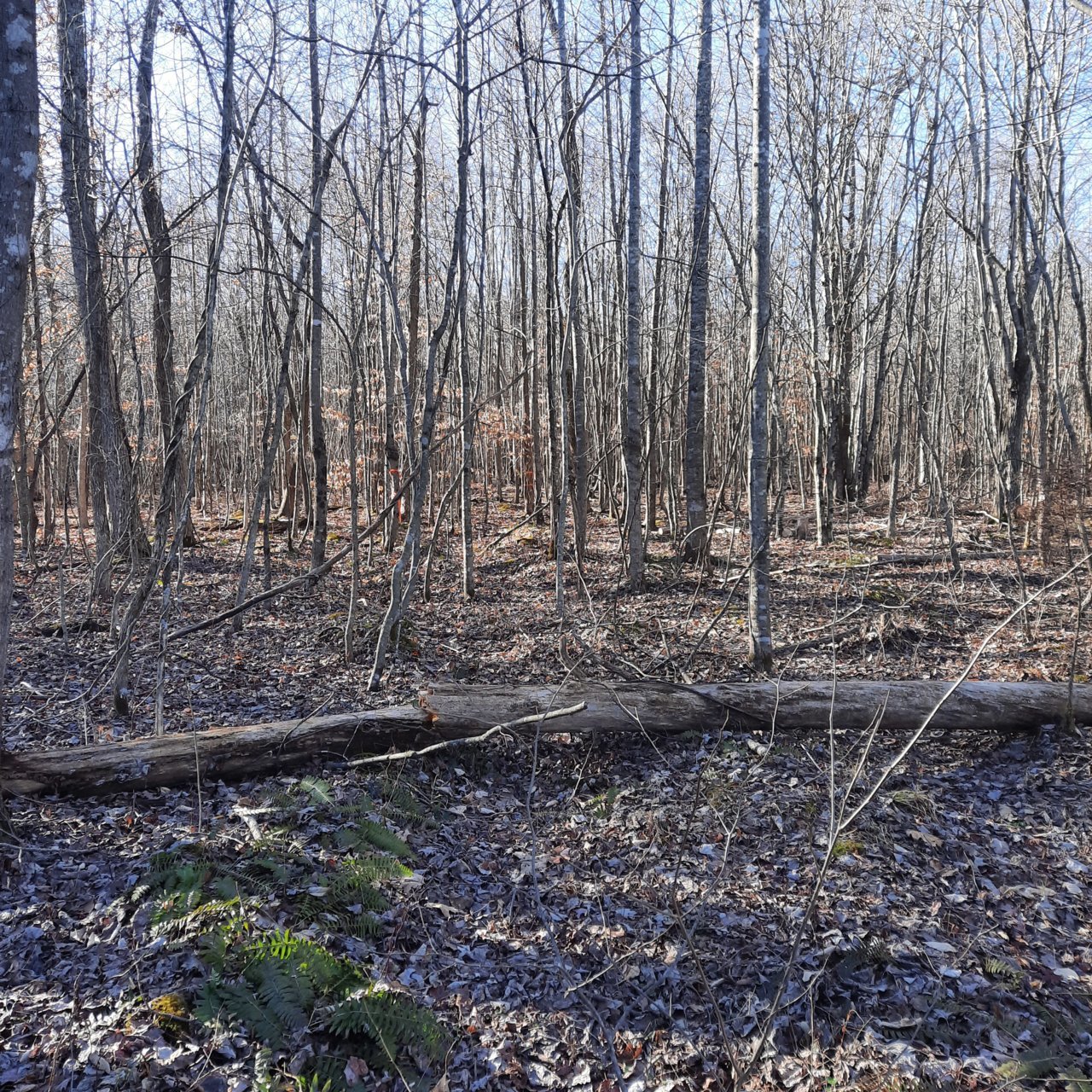 20230115_153736.jpg