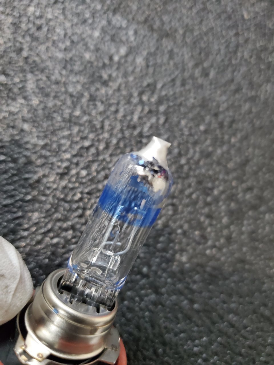20230118_165526.jpg