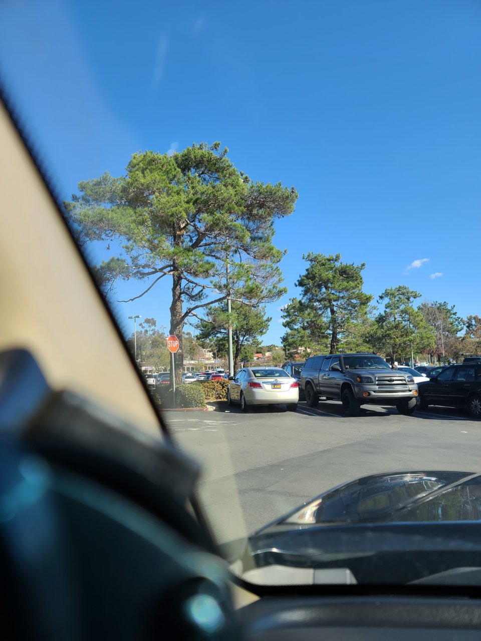 20230120_130507.jpg