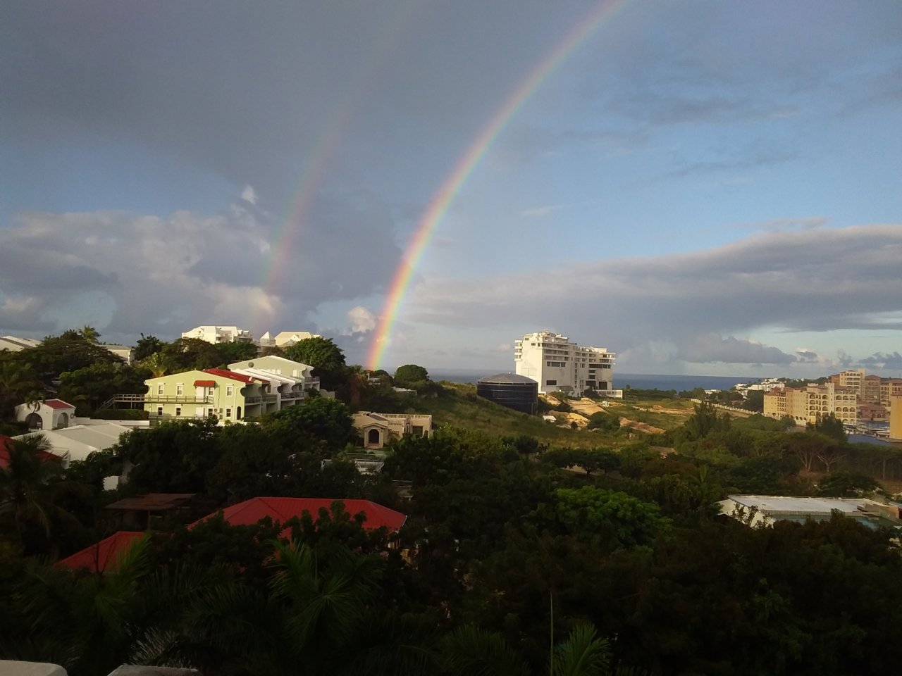 20230121_073001.jpg