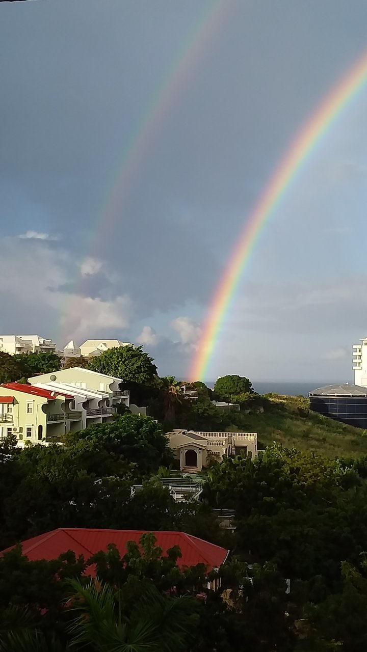 20230121_073318.jpg