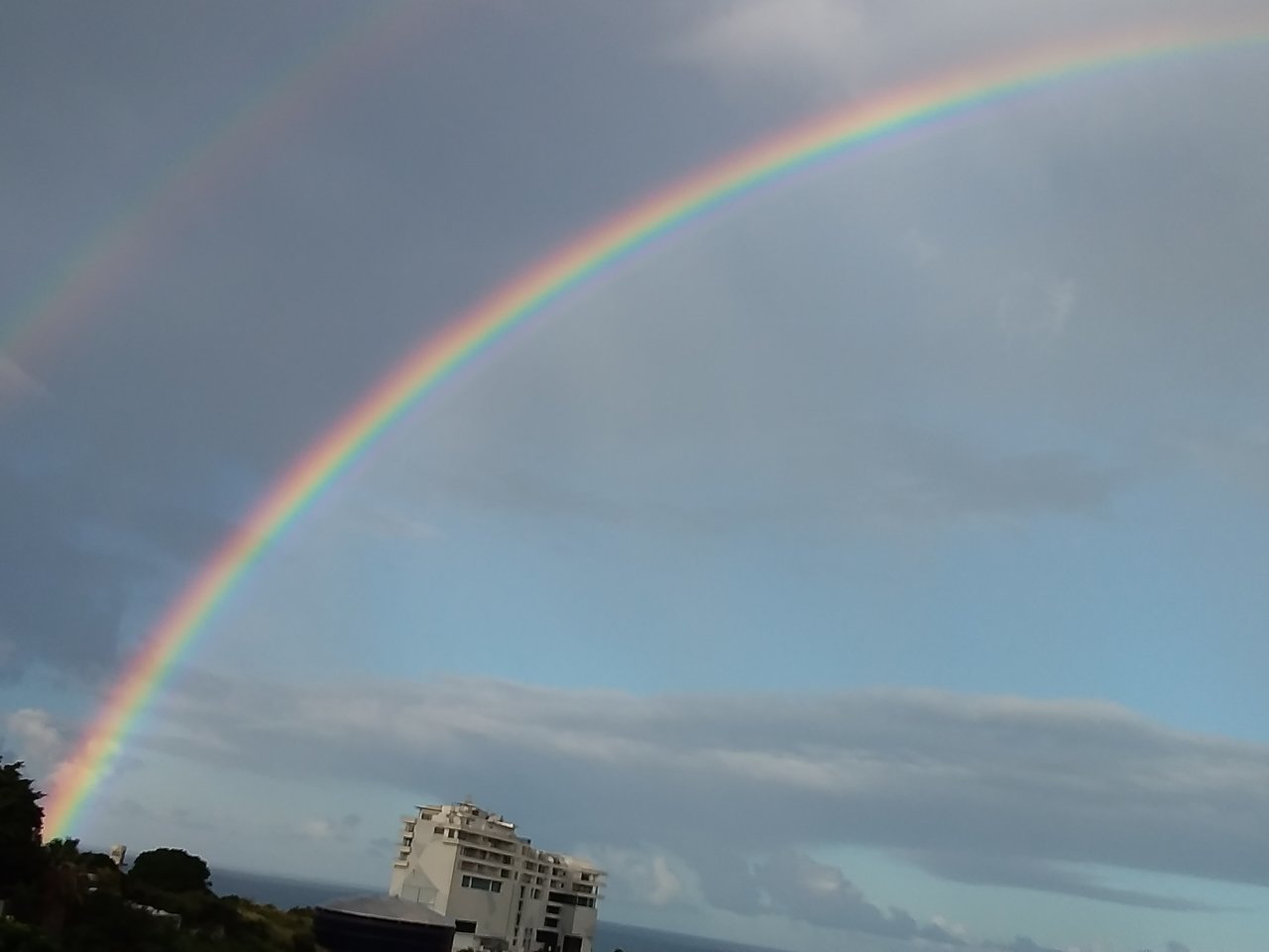 20230121_073538.jpg