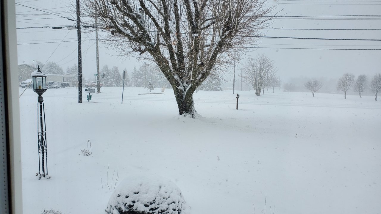 20230125_104911.jpg