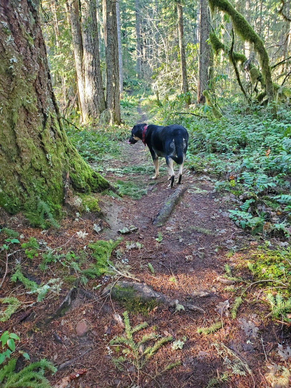 20230125_110935.jpg