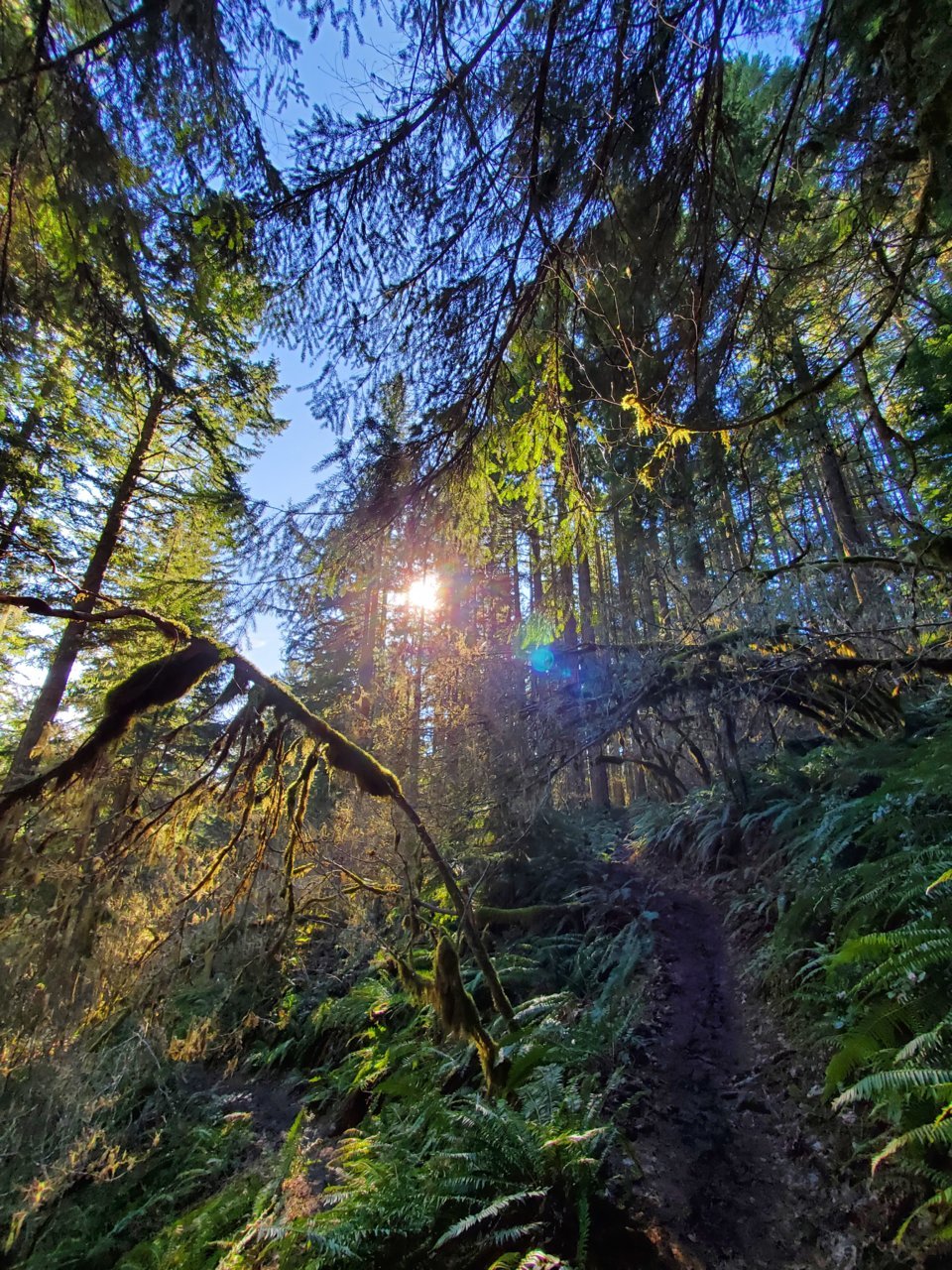 20230125_111904.jpg