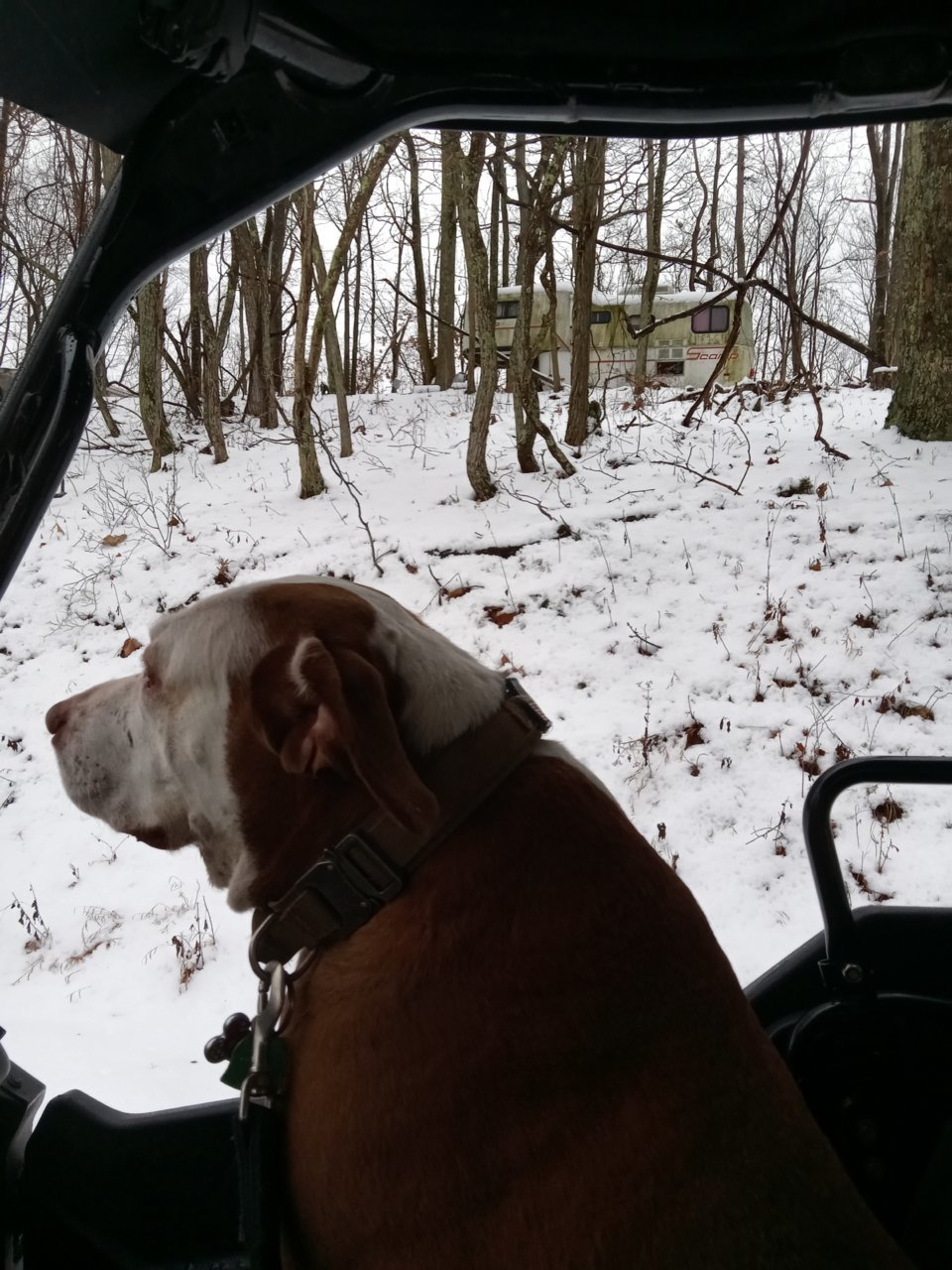 20230125_160735.jpg