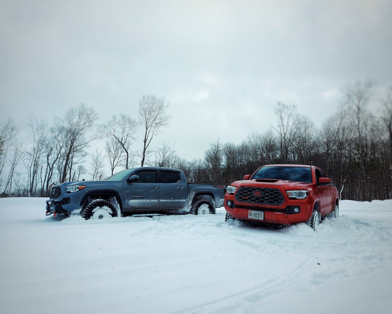 20230128_133754-01.jpg